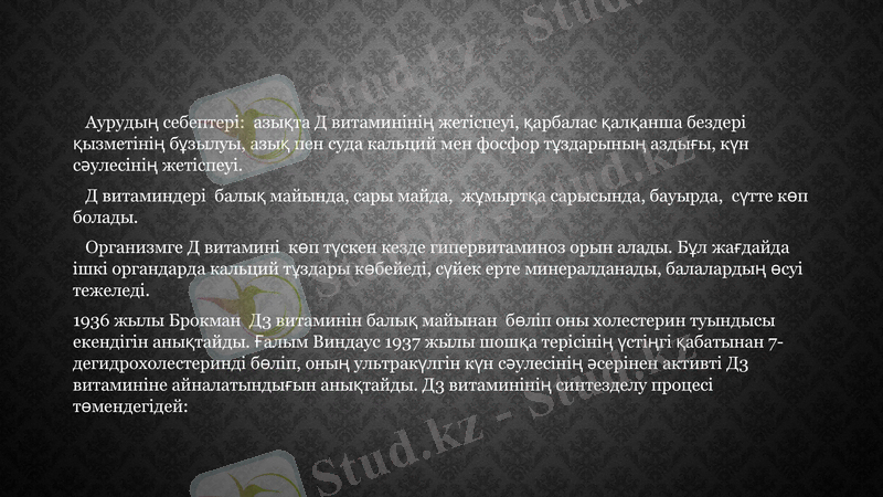 Slide 19