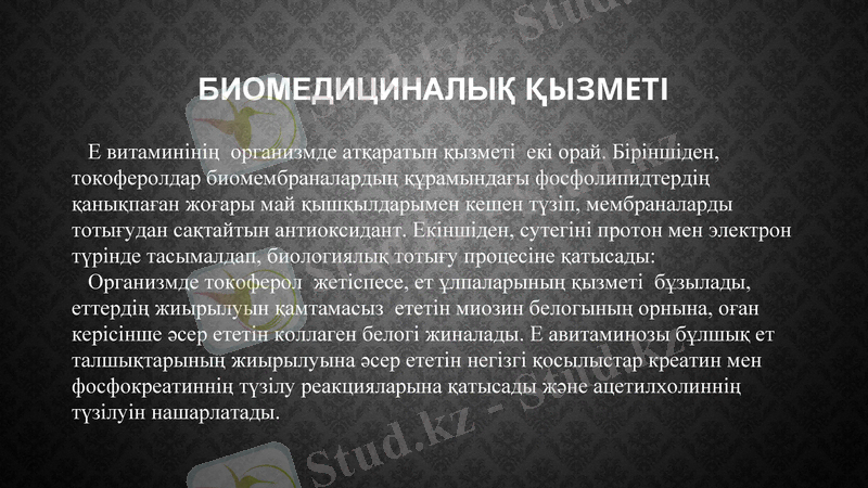 Slide 24