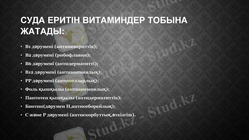 Slide 5