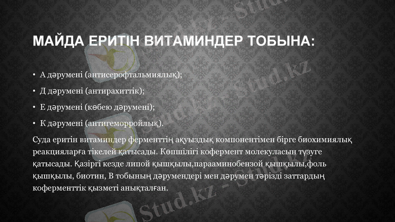 Slide 6