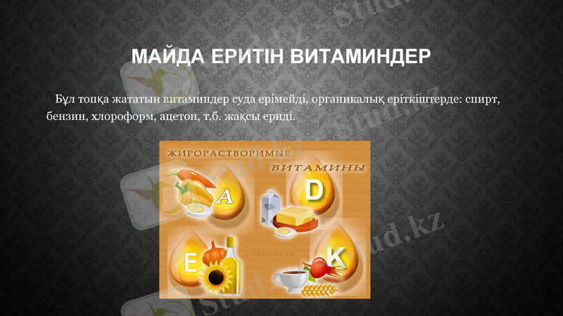 Slide 7
