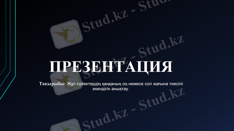 Slide 1