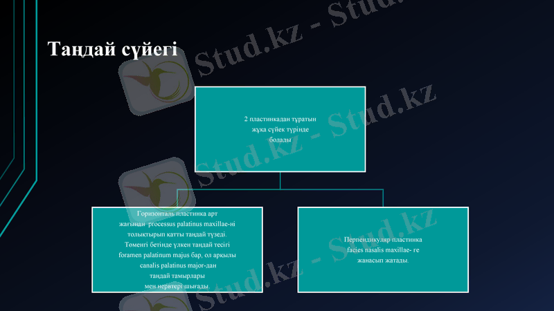 Slide 10