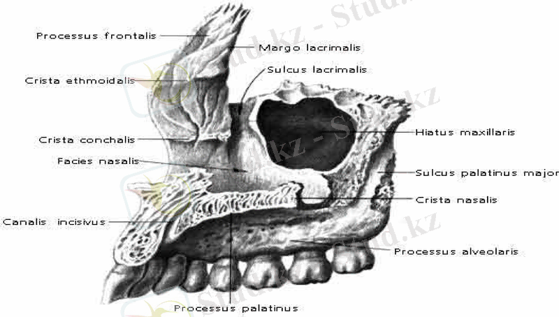 Slide 11
