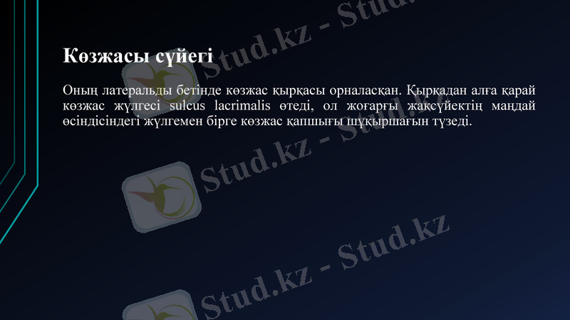 Slide 13