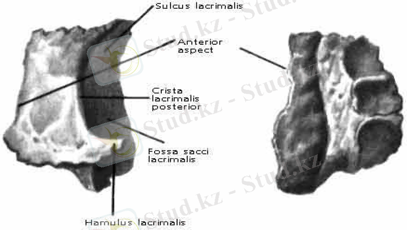 Slide 14