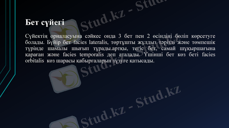 Slide 15