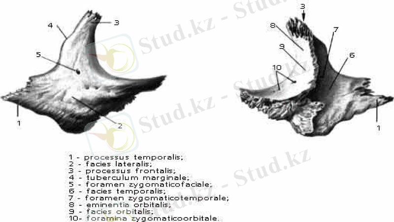 Slide 16