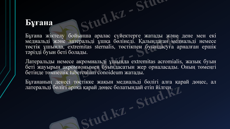 Slide 17