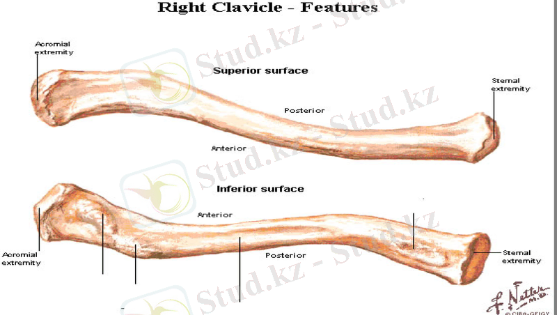 Slide 18