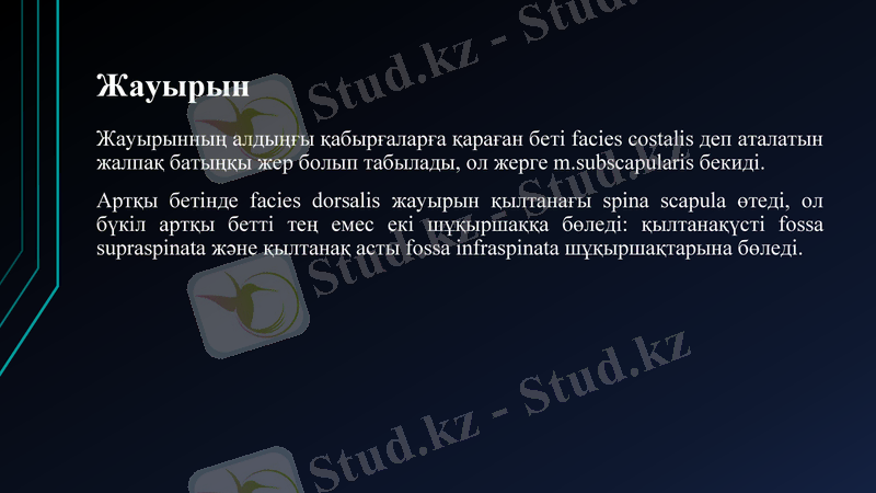 Slide 19
