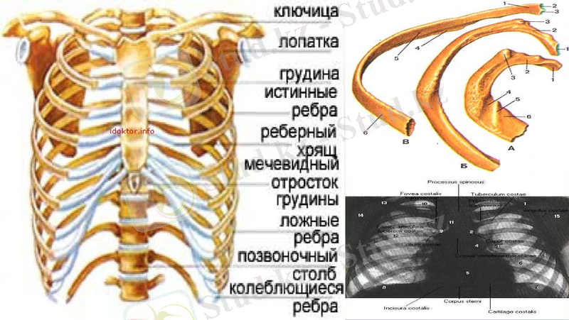 Slide 22