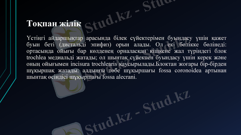 Slide 23
