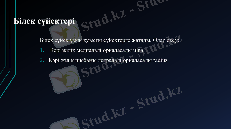 Slide 25