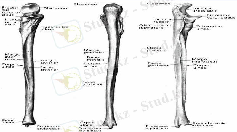 Slide 26