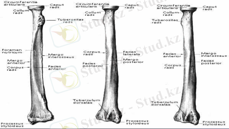 Slide 27