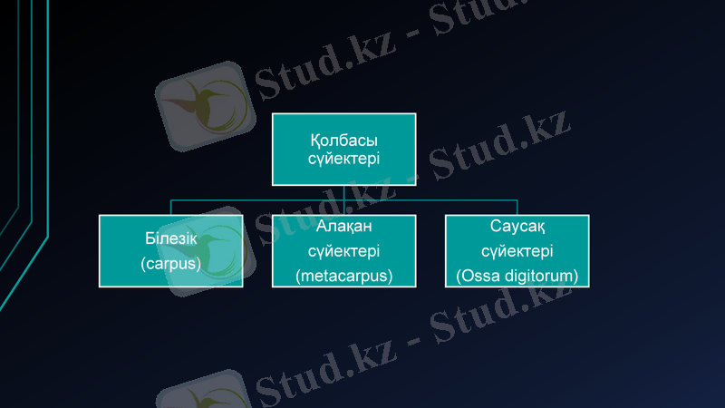 Slide 28
