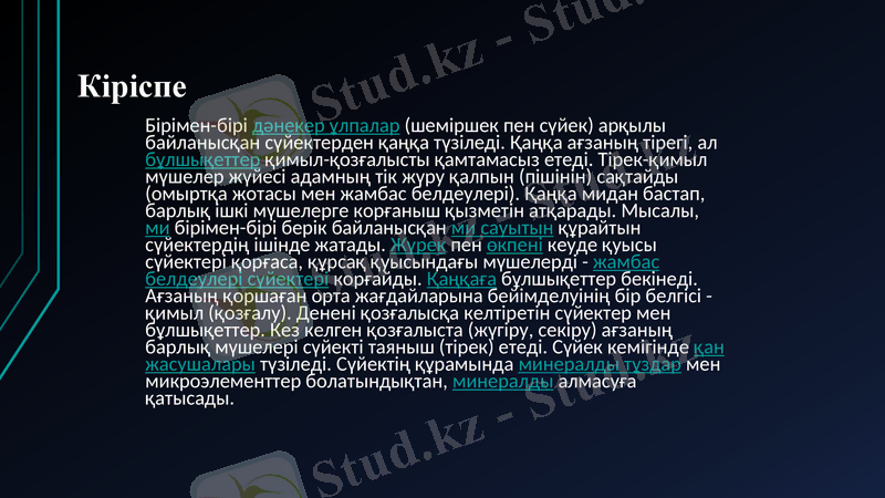 Slide 3