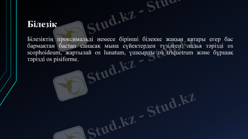 Slide 30