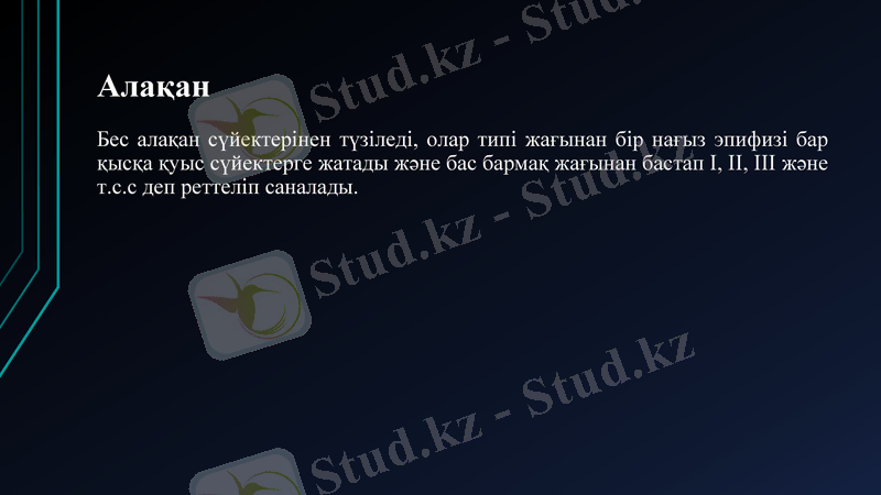 Slide 31