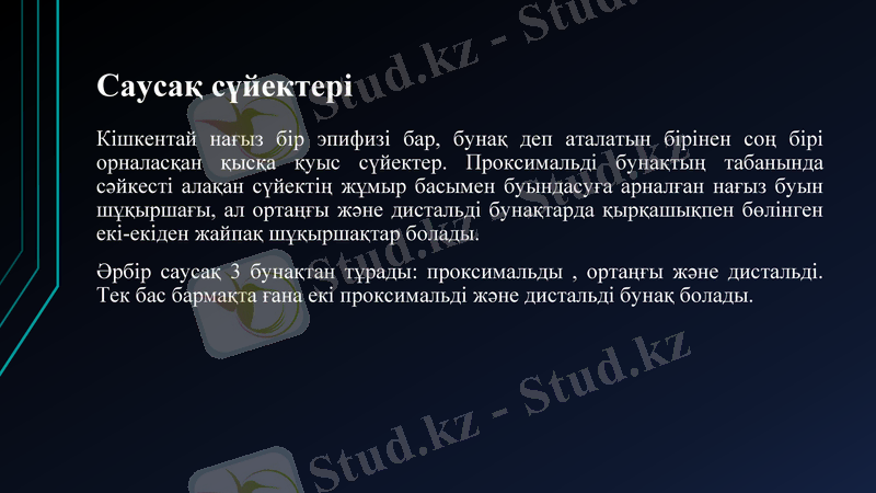 Slide 32
