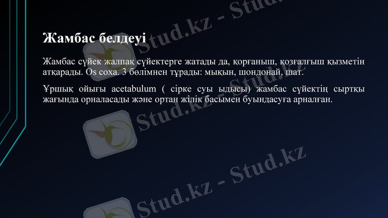 Slide 33