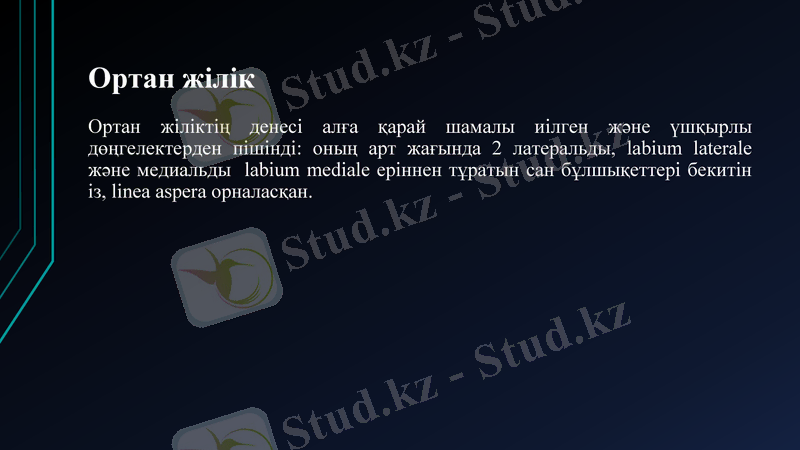 Slide 35