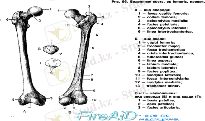 Slide 36