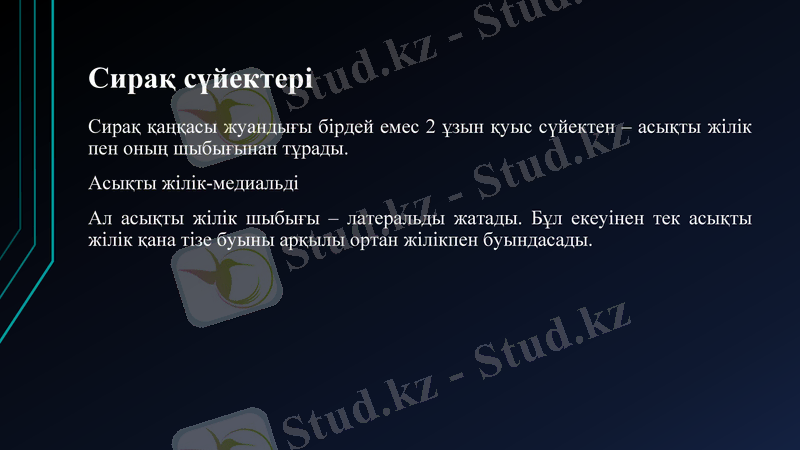 Slide 37