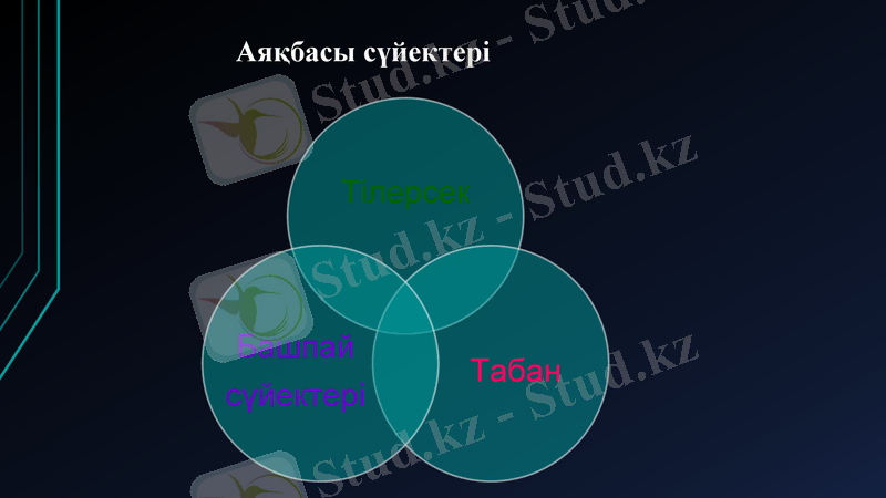 Slide 39