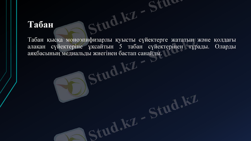 Slide 41
