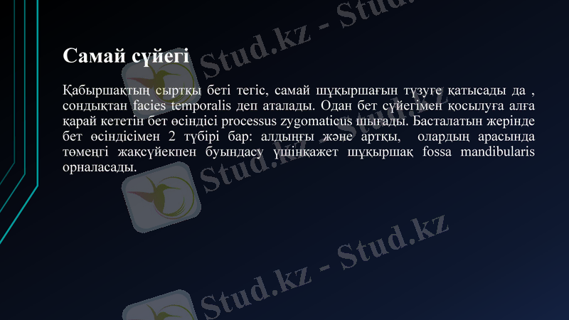 Slide 5