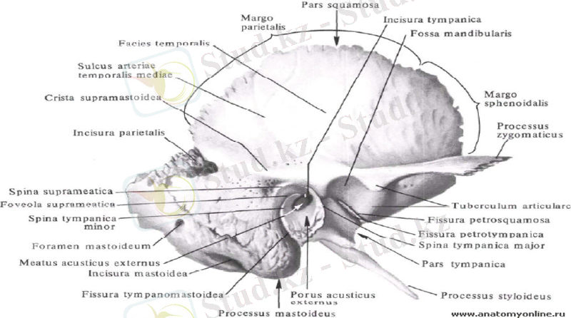 Slide 6