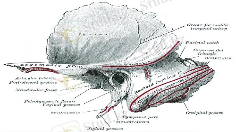 Slide 7