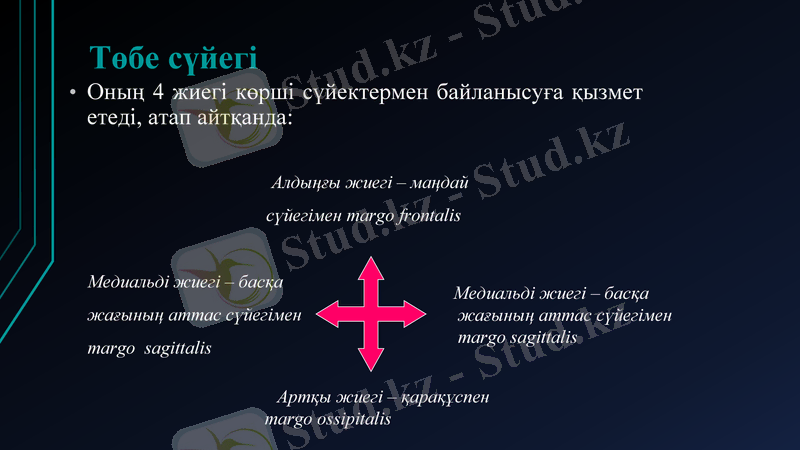 Slide 8
