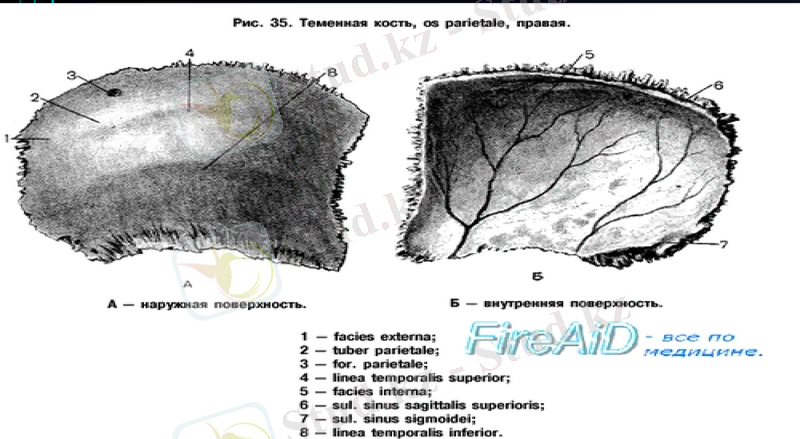 Slide 9