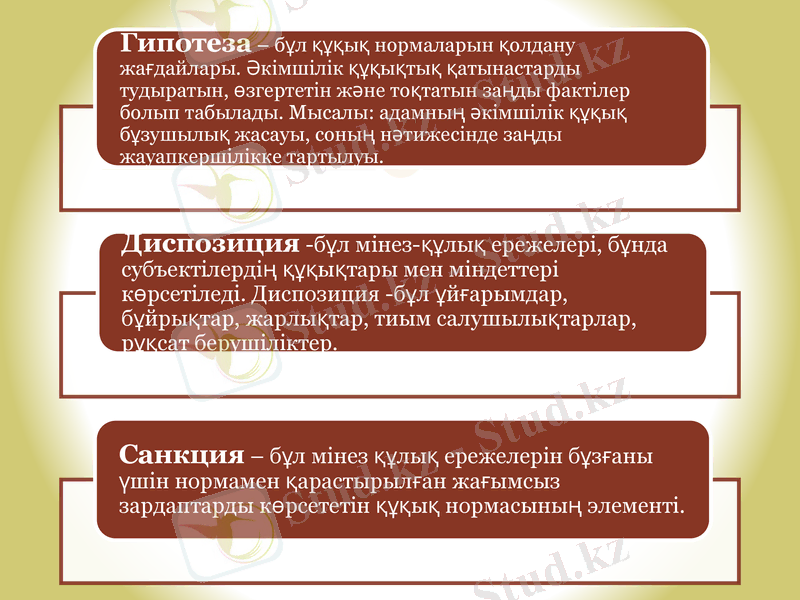 Slide 11