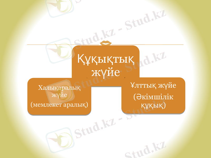 Slide 7
