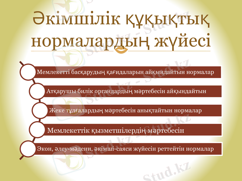 Slide 8