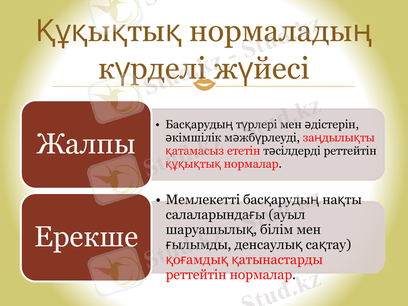 Slide 9