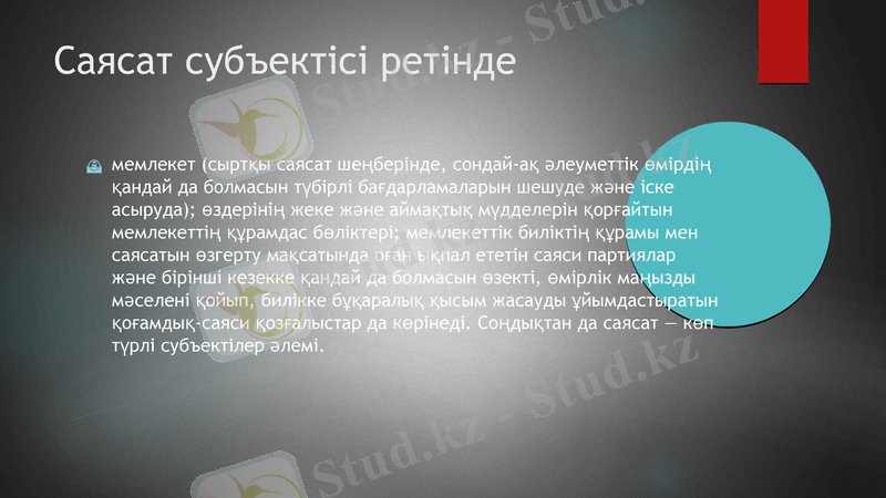 Slide 7