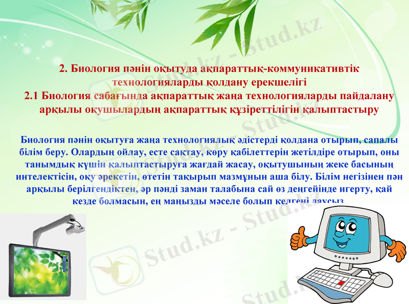 Slide 6