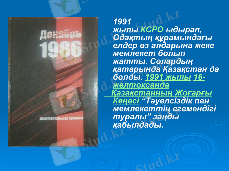 Slide 6