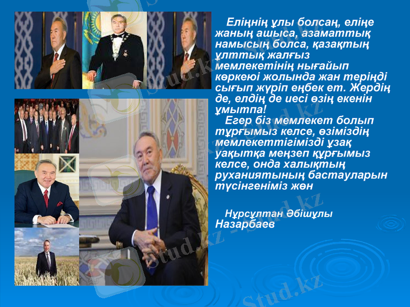 Slide 8
