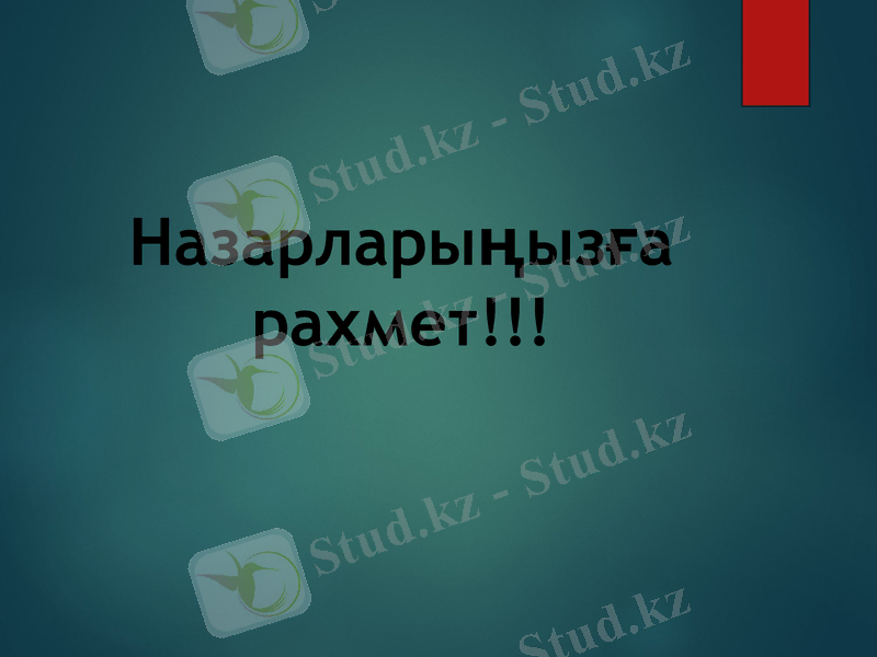Slide 11