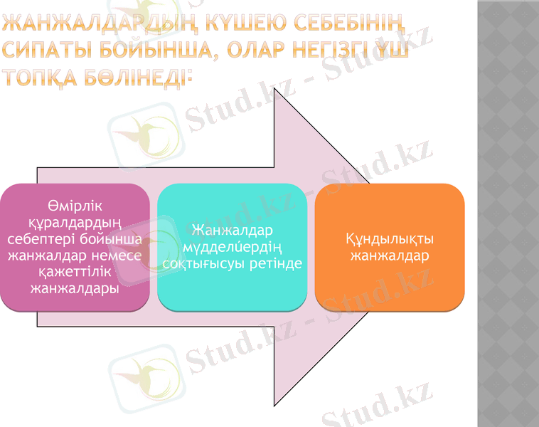 Slide 7