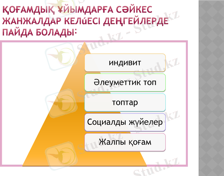 Slide 8