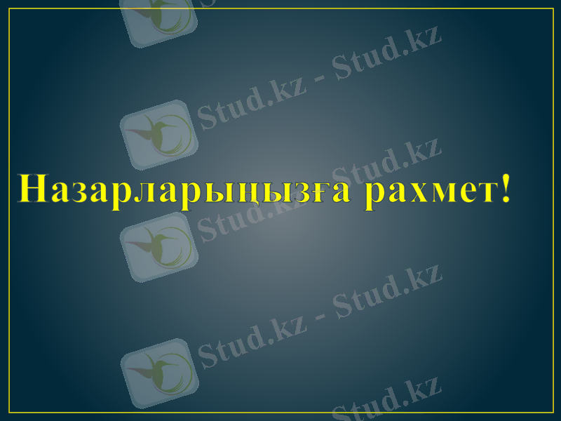 Slide 13