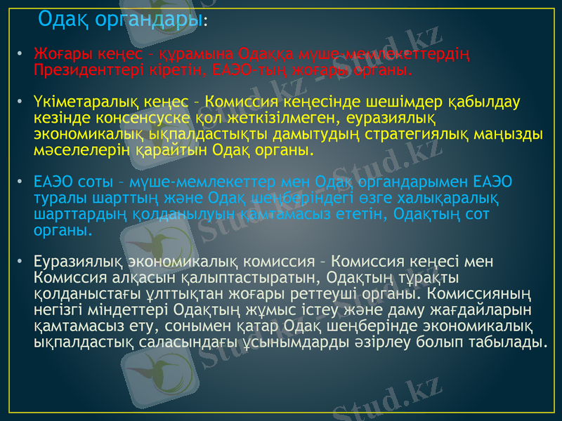 Slide 9