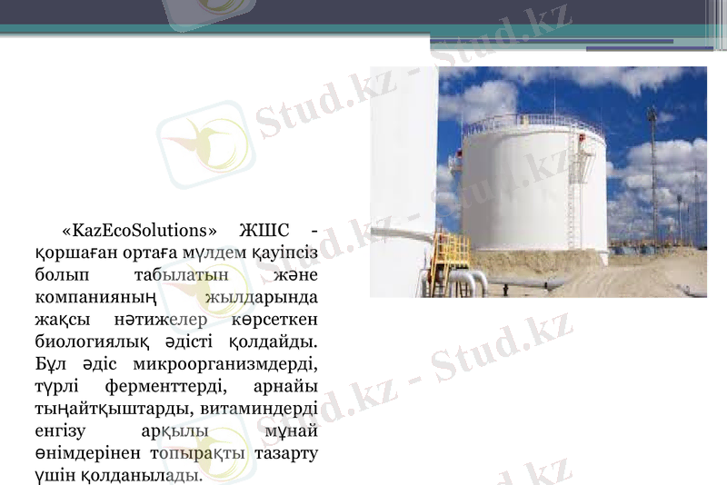 Slide 7